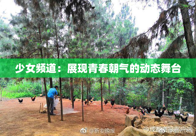 少女频道：展现青春朝气的动态舞台