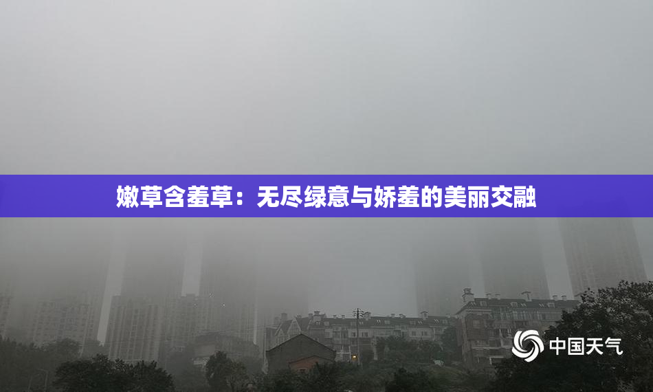 嫩草含羞草：无尽绿意与娇羞的美丽交融