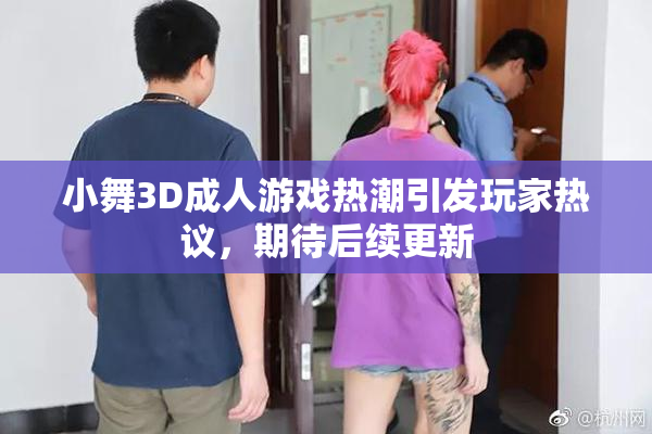 小舞3D成人游戏热潮引发玩家热议，期待后续更新