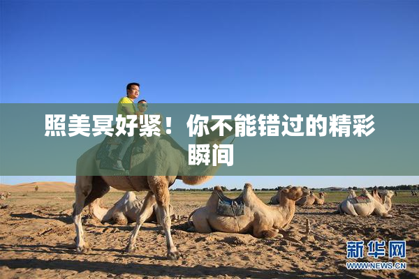 照美冥好紧！你不能错过的精彩瞬间