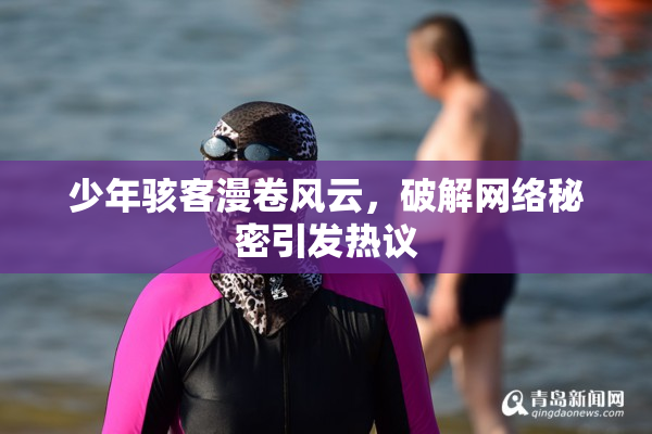 少年骇客漫卷风云，破解网络秘密引发热议