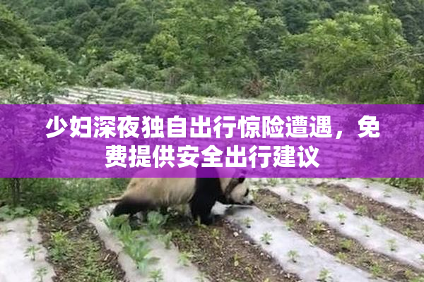 少妇深夜独自出行惊险遭遇，免费提供安全出行建议