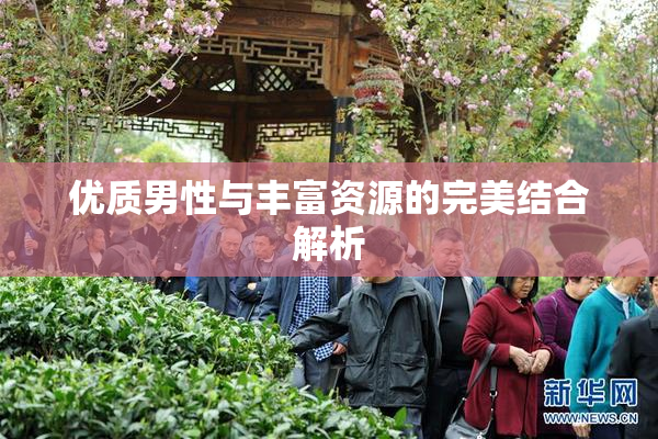 优质男性与丰富资源的完美结合解析