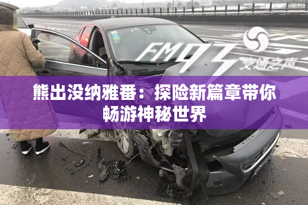 熊出没纳雅番：探险新篇章带你畅游神秘世界