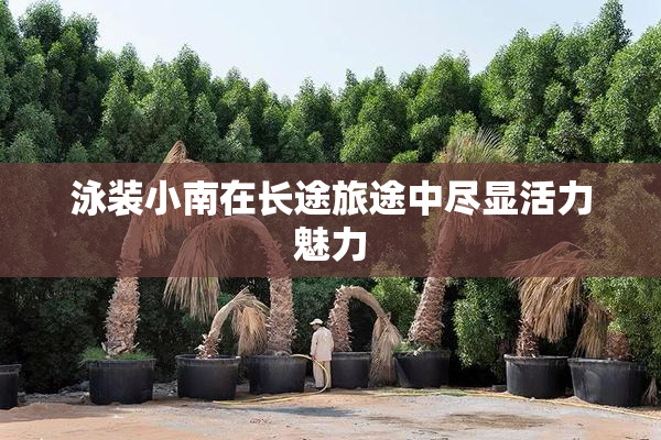 泳装小南在长途旅途中尽显活力魅力