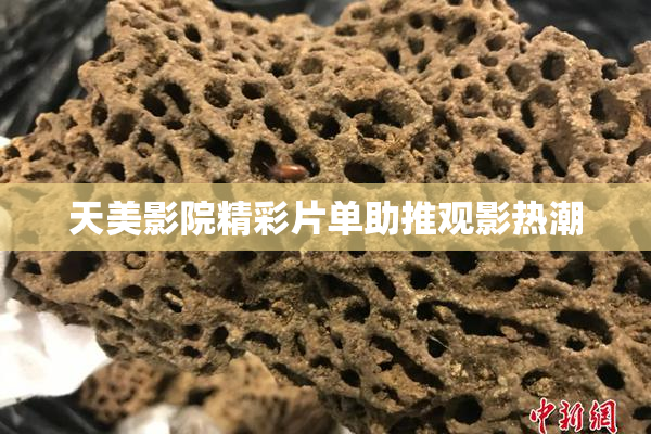 天美影院精彩片单助推观影热潮