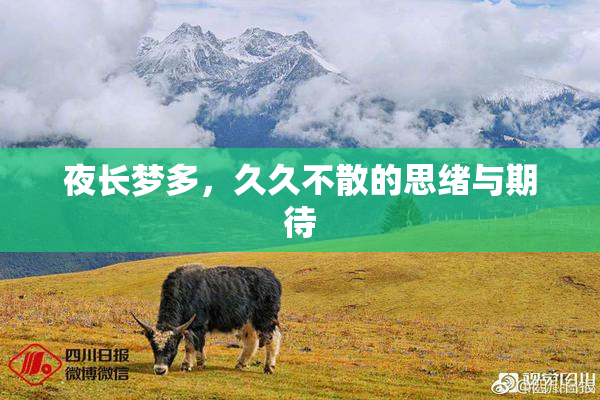 夜长梦多，久久不散的思绪与期待