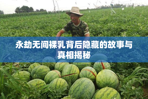 永劫无间裸乳背后隐藏的故事与真相揭秘