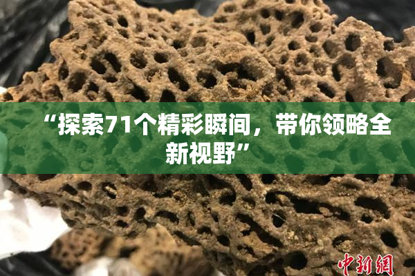 “探索71个精彩瞬间，带你领略全新视野”