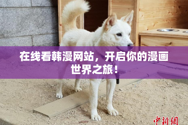在线看韩漫网站，开启你的漫画世界之旅！