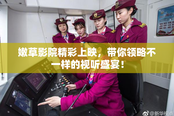 嫩草影院精彩上映，带你领略不一样的视听盛宴！