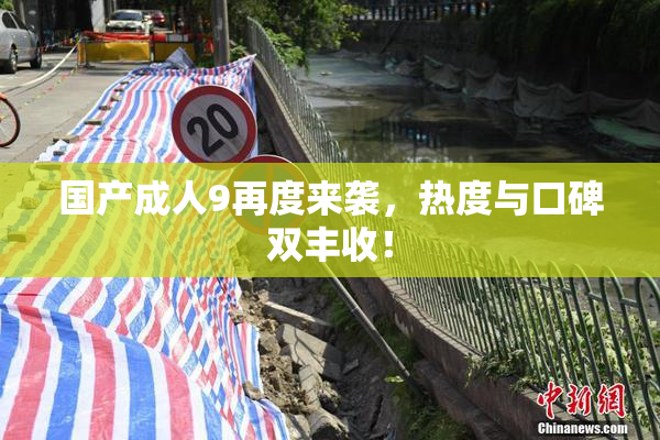 国产成人9再度来袭，热度与口碑双丰收！