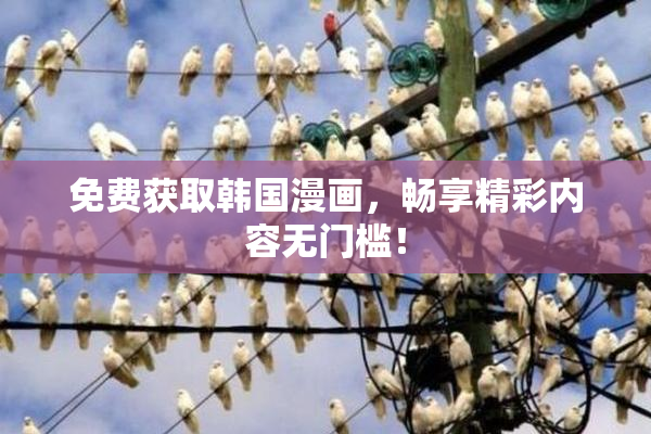 免费获取韩国漫画，畅享精彩内容无门槛！