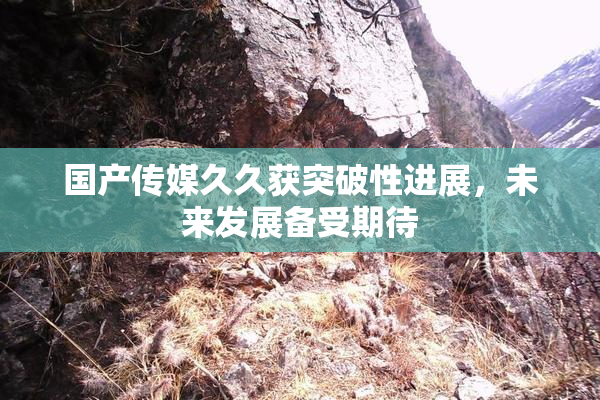 国产传媒久久获突破性进展，未来发展备受期待