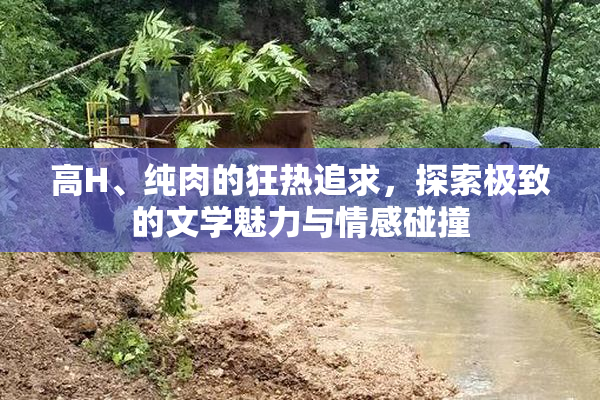 高H、纯肉的狂热追求，探索极致的文学魅力与情感碰撞