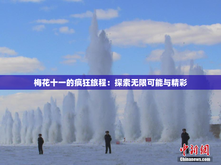 梅花十一的疯狂旅程：探索无限可能与精彩