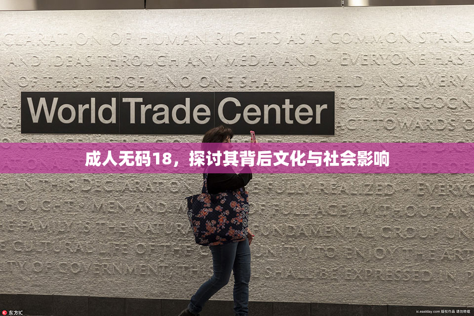 成人无码18，探讨其背后文化与社会影响
