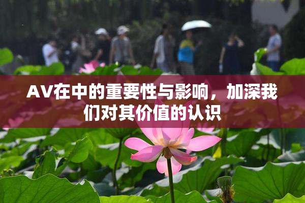 AV在中的重要性与影响，加深我们对其价值的认识