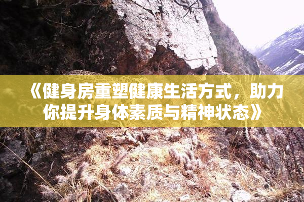 《健身房重塑健康生活方式，助力你提升身体素质与精神状态》
