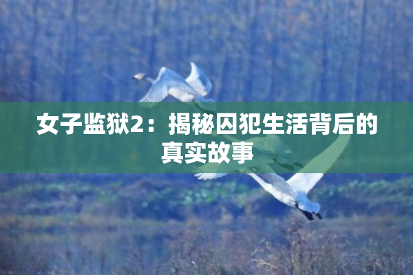女子监狱2：揭秘囚犯生活背后的真实故事