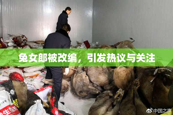 兔女郎被改编，引发热议与关注