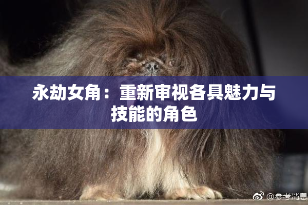 永劫女角：重新审视各具魅力与技能的角色