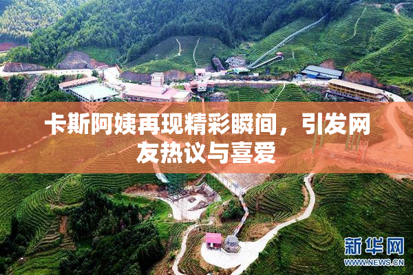 卡斯阿姨再现精彩瞬间，引发网友热议与喜爱