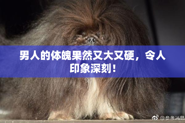 男人的体魄果然又大又硬，令人印象深刻！