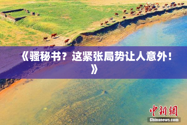 《骚秘书？这紧张局势让人意外！》