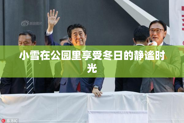 小雪在公园里享受冬日的静谧时光