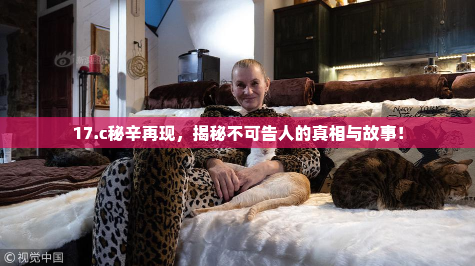 17.c秘辛再现，揭秘不可告人的真相与故事！