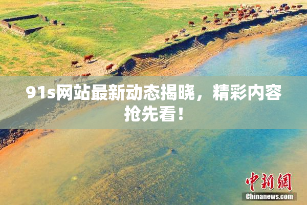 91s网站最新动态揭晓，精彩内容抢先看！