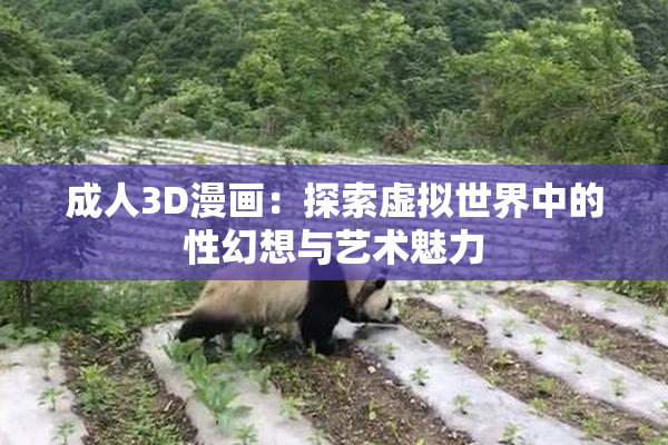 成人3D漫画：探索虚拟世界中的性幻想与艺术魅力