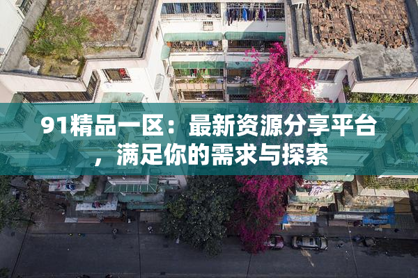 91精品一区：最新资源分享平台，满足你的需求与探索