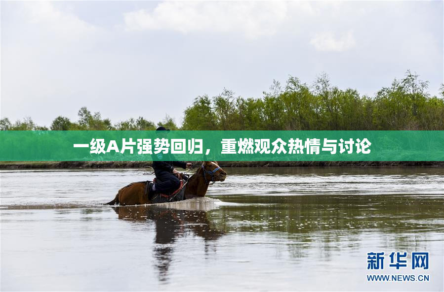 一级A片强势回归，重燃观众热情与讨论