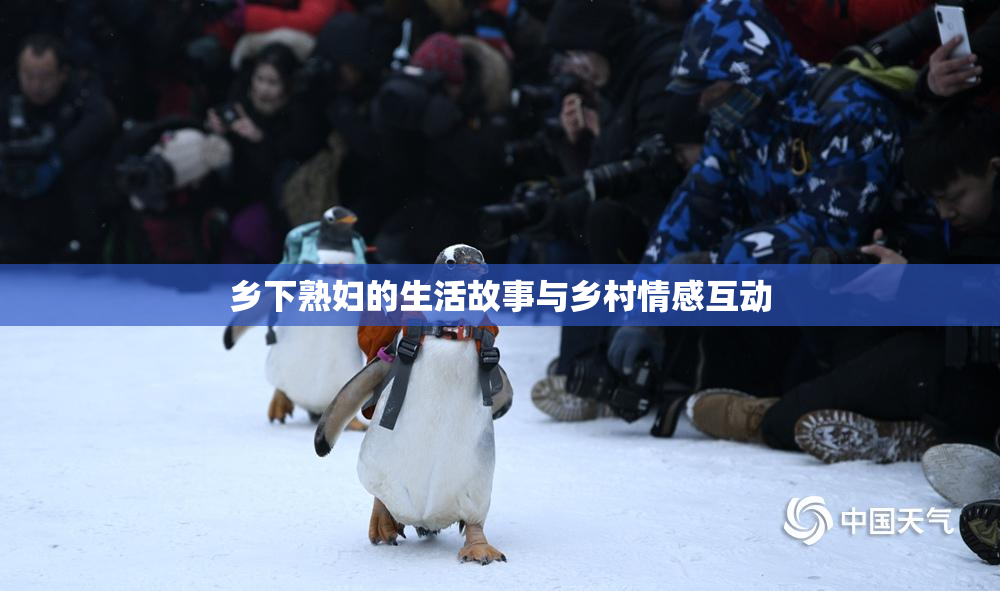 乡下熟妇的生活故事与乡村情感互动