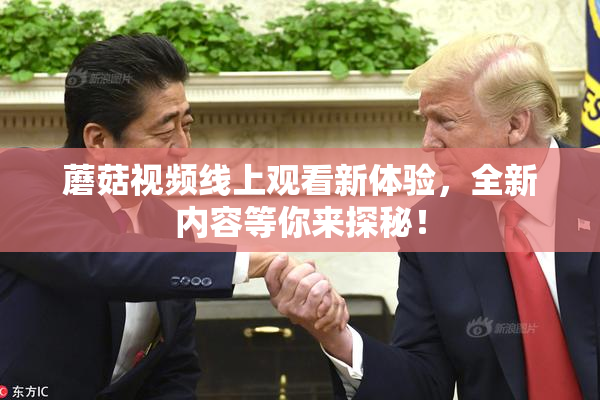 蘑菇视频线上观看新体验，全新内容等你来探秘！