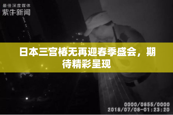 日本三宫椿无再迎春季盛会，期待精彩呈现