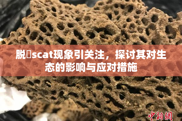 脱糞scat现象引关注，探讨其对生态的影响与应对措施