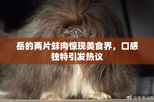 岳的两片蚌肉惊现美食界，口感独特引发热议