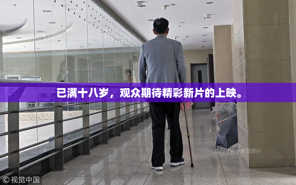 已满十八岁，观众期待精彩新片的上映。