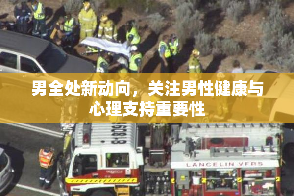 男全处新动向，关注男性健康与心理支持重要性