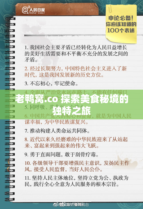 老鸭窝.co 探索美食秘境的独特之旅