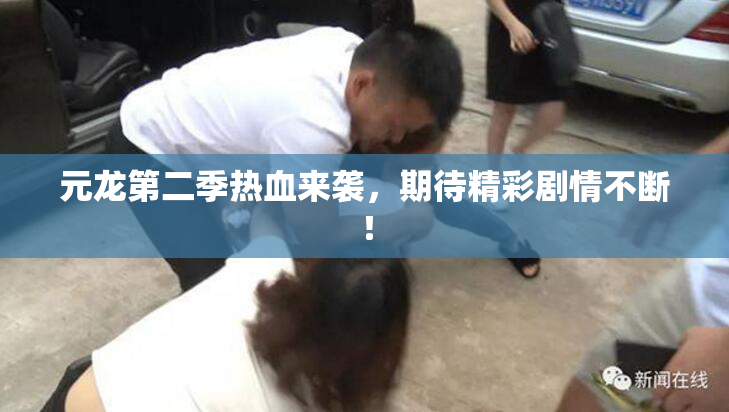 元龙第二季热血来袭，期待精彩剧情不断！