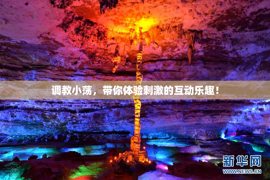 调教小荡，带你体验刺激的互动乐趣！