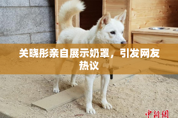 关晓彤亲自展示奶罩，引发网友热议