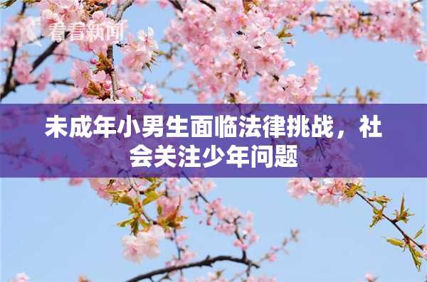 未成年小男生面临法律挑战，社会关注少年问题