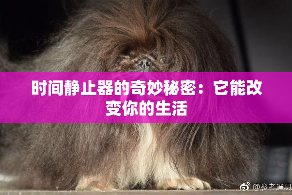 时间静止器的奇妙秘密：它能改变你的生活