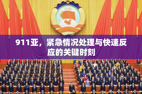 911亚，紧急情况处理与快速反应的关键时刻