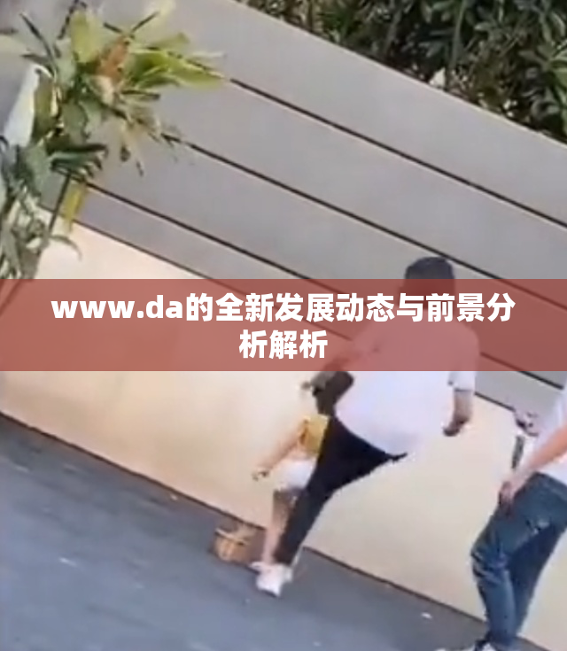 www.da的全新发展动态与前景分析解析